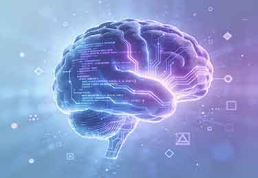 AI时代不需要学编程是个谎言(真正厉害的人都在悄悄学)-园丁少儿编程