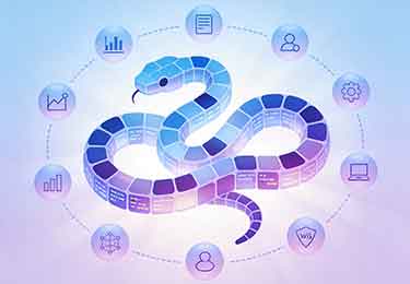 什么是 Python？-园丁少儿编程